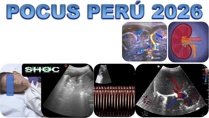 POCUS PERU 2026